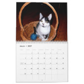 Mooki & Kiko Kalender (Mar 2027)