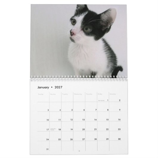 Mooki & Kiko Kalender (Jan 2027)