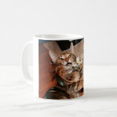 Mooki lolcat Mok, kan ik caffeinez haz? Koffiemok (Voorkant links)