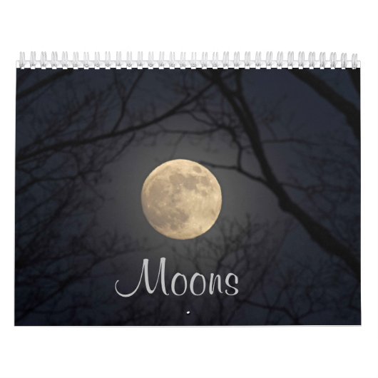 Moon 2 kalender (Hoes)