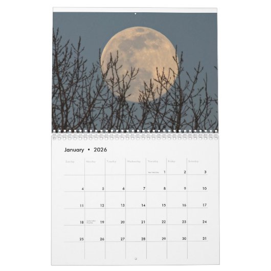 Moon 2 kalender (Jan 2026)