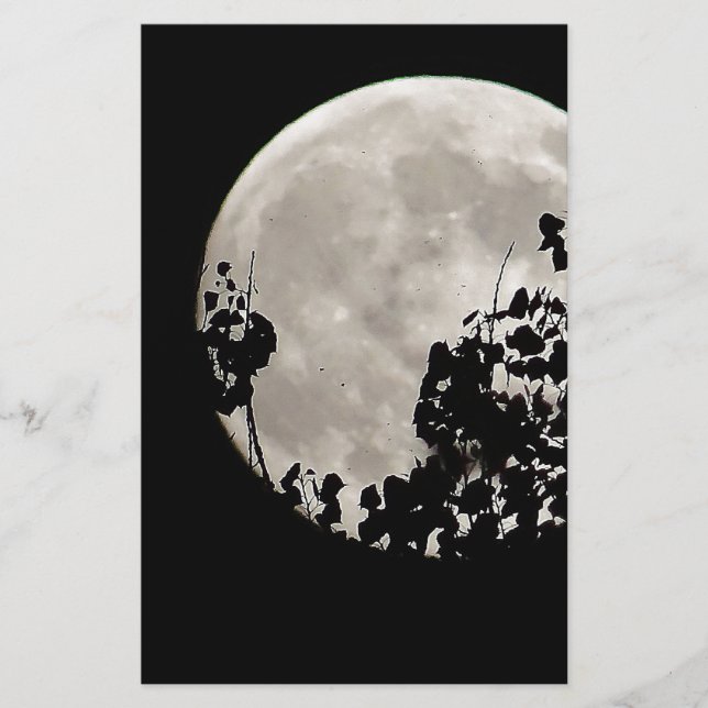 Moon achter donkere bladeren (Voorkant)