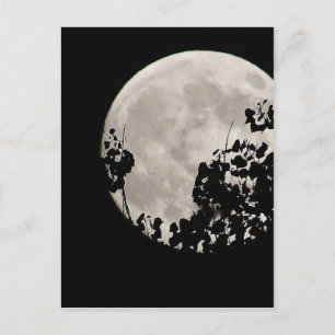 Moon achter donkere bladeren briefkaart