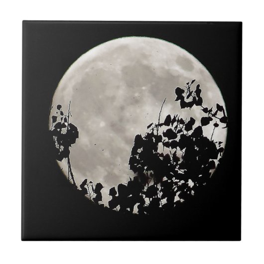 Moon achter donkere bladeren tegeltje (Voorkant)