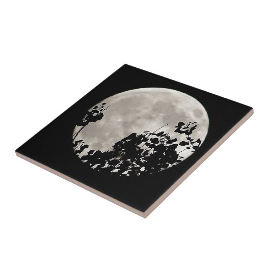 Moon achter donkere bladeren tegeltje (Zijkant)