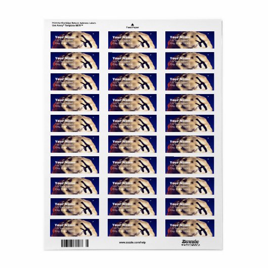 Moon and Plane Return Address Labels (Full Sheet)