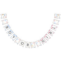 Moon and Stars Boy of Girl Bunting Flags