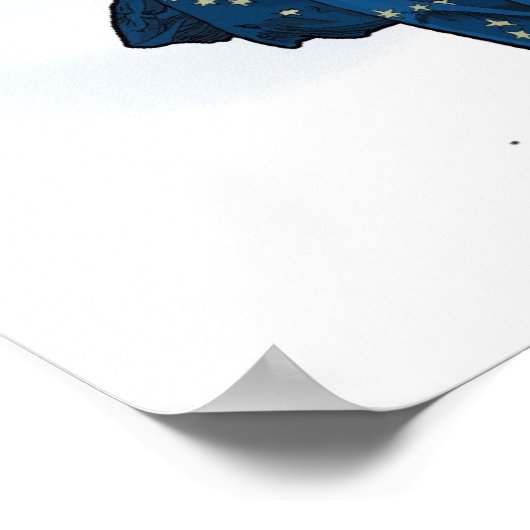 Moon and Stars Mucha redo Poster (Hoek)