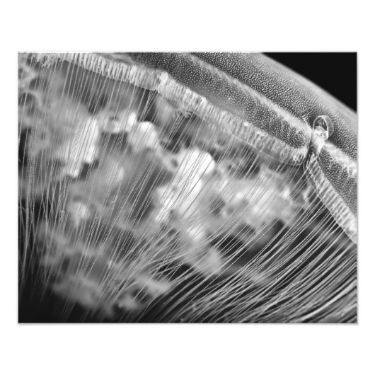 Moon Beads - Fotouitbreiding Foto Afdruk (Voorkant)