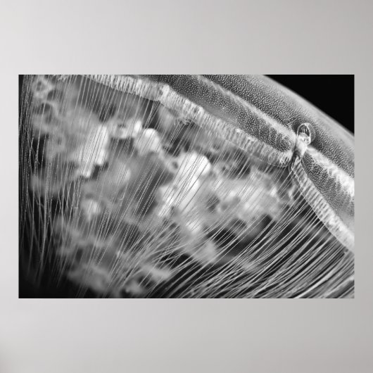 Moon Beads - Poster (Voorkant)