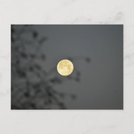 Moon Briefkaart