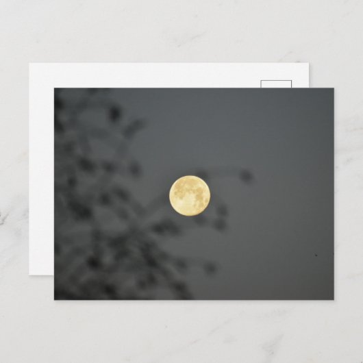 Moon Briefkaart (Voorkant / Achterkant)