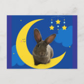 Moon Bunny Briefkaart (Voorkant)