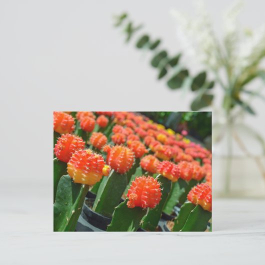 Moon Cactus Briefkaart (Staand voorkant)