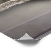 Moon Cat Poster (Hoek)