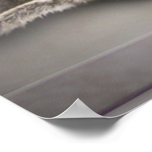 Moon Cat Poster (Hoek)