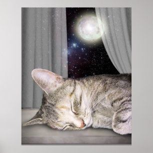 Moon Cat Poster