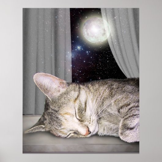 Moon Cat Poster (Voorkant)