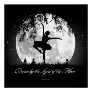 Moon Dance Perfect Poster