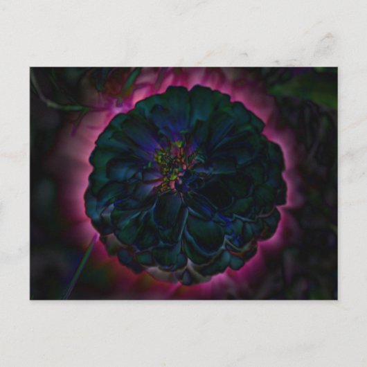 Moon Flower Post Card Briefkaart (Voorkant)