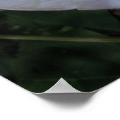 Moon Flower Print (Hoek)