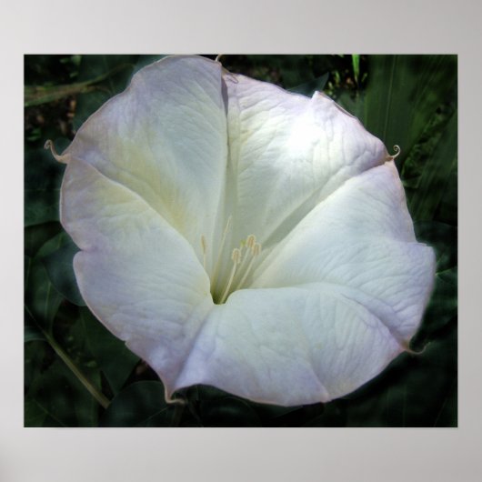 Moon Flower Print (Voorkant)