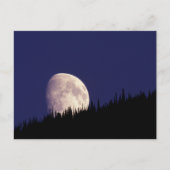 Moon & Forest | Nationaal park Glacier Montana Briefkaart (Voorkant)