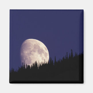 Moon & Forest | Nationaal park Glacier Montana Magneet