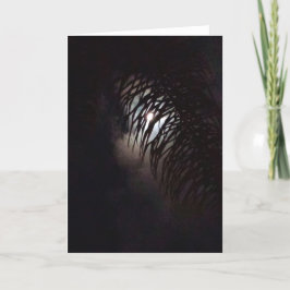 Moon Frond Kaart