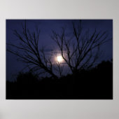 Moon Glow Poster (Voorkant)