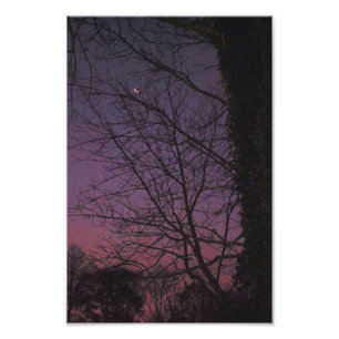 Moon in de vroege ochtend foto afdruk
