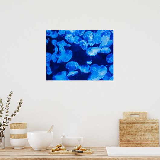 Moon Jelly Fish Poster (Keuken)