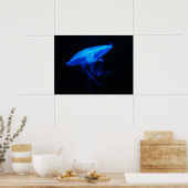 Moon Jelly Fish Poster (Keuken)