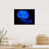 Moon Jelly Fish Poster (Keuken)