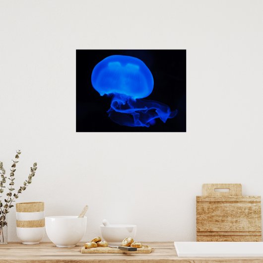 Moon Jelly Fish Poster (Keuken)