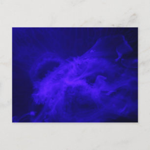 Moon Jellyfish # 12 Briefkaart