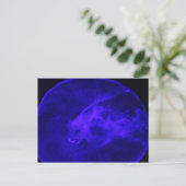 Moon Jellyfish # 32 Briefkaart (Staand voorkant)