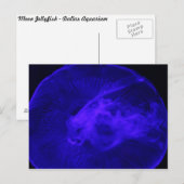 Moon Jellyfish # 32 Briefkaart (Voorkant / Achterkant)