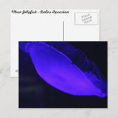 Moon Jellyfish # 5 Briefkaart (Voorkant / Achterkant)