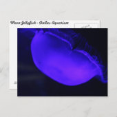 Moon Jellyfish # 6 Briefkaart (Voorkant / Achterkant)