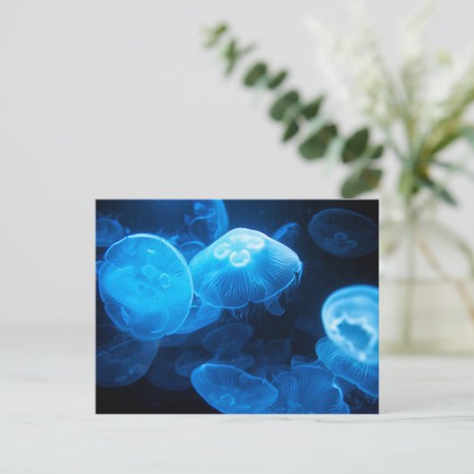 Moon Jellyfish Briefkaart (Staand voorkant)