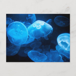 Moon Jellyfish Briefkaart
