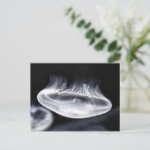 Moon Jellyfish Briefkaart (Staand voorkant)