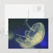 Moon Jellyfish Briefkaart (Voorkant / Achterkant)