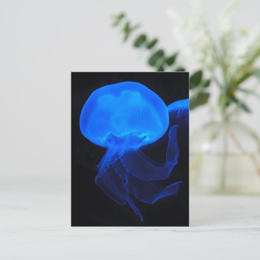 Moon Jellyfish Briefkaart (Staand voorkant)