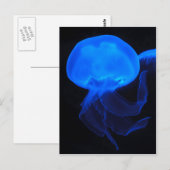 Moon Jellyfish Briefkaart (Voorkant / Achterkant)