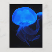 Moon Jellyfish Briefkaart (Voorkant)