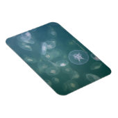 Moon jellyfish magneet (Rechterzijde)