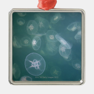 Moon jellyfish metalen ornament