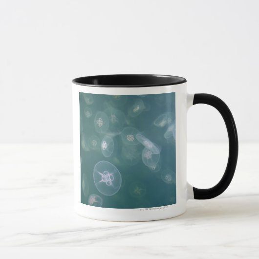 Moon jellyfish mok (Rechts)